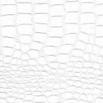 %d0%ba%d0%be%d0%bf%d0%b8%d1%8f-2-item_6868_view